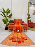 Sunset Orange Elegance Saree