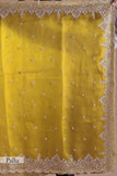 Designer Yellow Net Saree with Intricate Embellishments