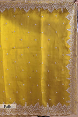 Designer Yellow Net Saree with Intricate Embellishments