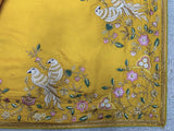 Sunshine Elegance Embroidered Saree