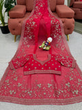 Bridal Red Elegance Saree with Heavy Embroidery