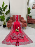 Radiant Rani Pink Saree with Elegant Silver Detailing