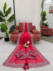 Radiant Rani Pink Saree with Elegant Silver Detailing