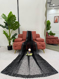 Midnight Black Elegance Saree
