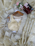 Champagne Gold Elegance Saree