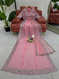 Blush Pink Dream Saree with Luxe Embroidery
