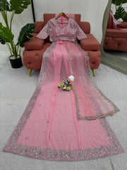 Blush Pink Dream Saree with Luxe Embroidery