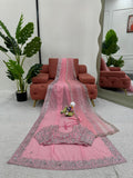 Blush Pink Dream Saree with Luxe Embroidery