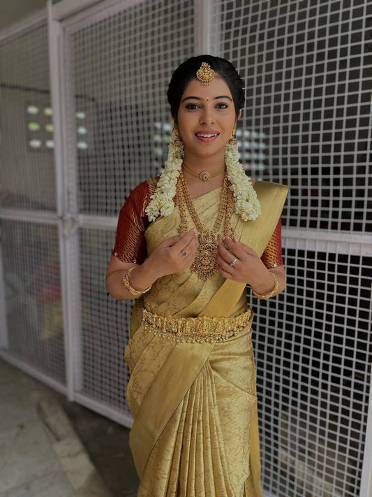 Elegant Indian golden saree with detailed embroidery and sheer drape