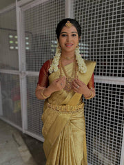 Elegant Indian golden saree with detailed embroidery and sheer drape