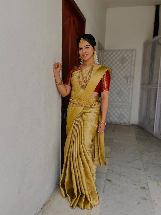 Women wearing teal blue party wear saree with embroidered border work